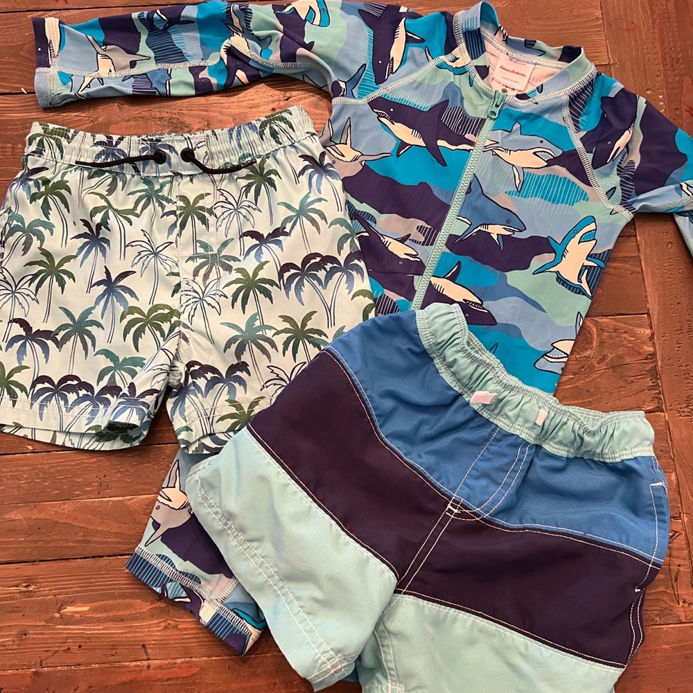 3 Toddler Boys Swimsuits 3T